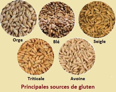 principales sources de gluten
