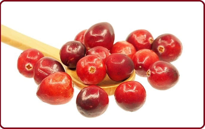 Cranberry ou canneberge