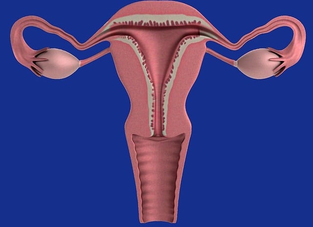cancer du col de l'utérus: intro